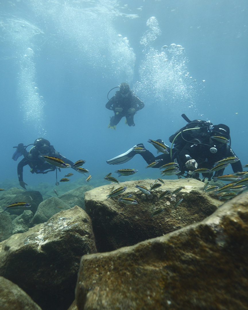 Kurs Nurkowania PADI Open Water Diver