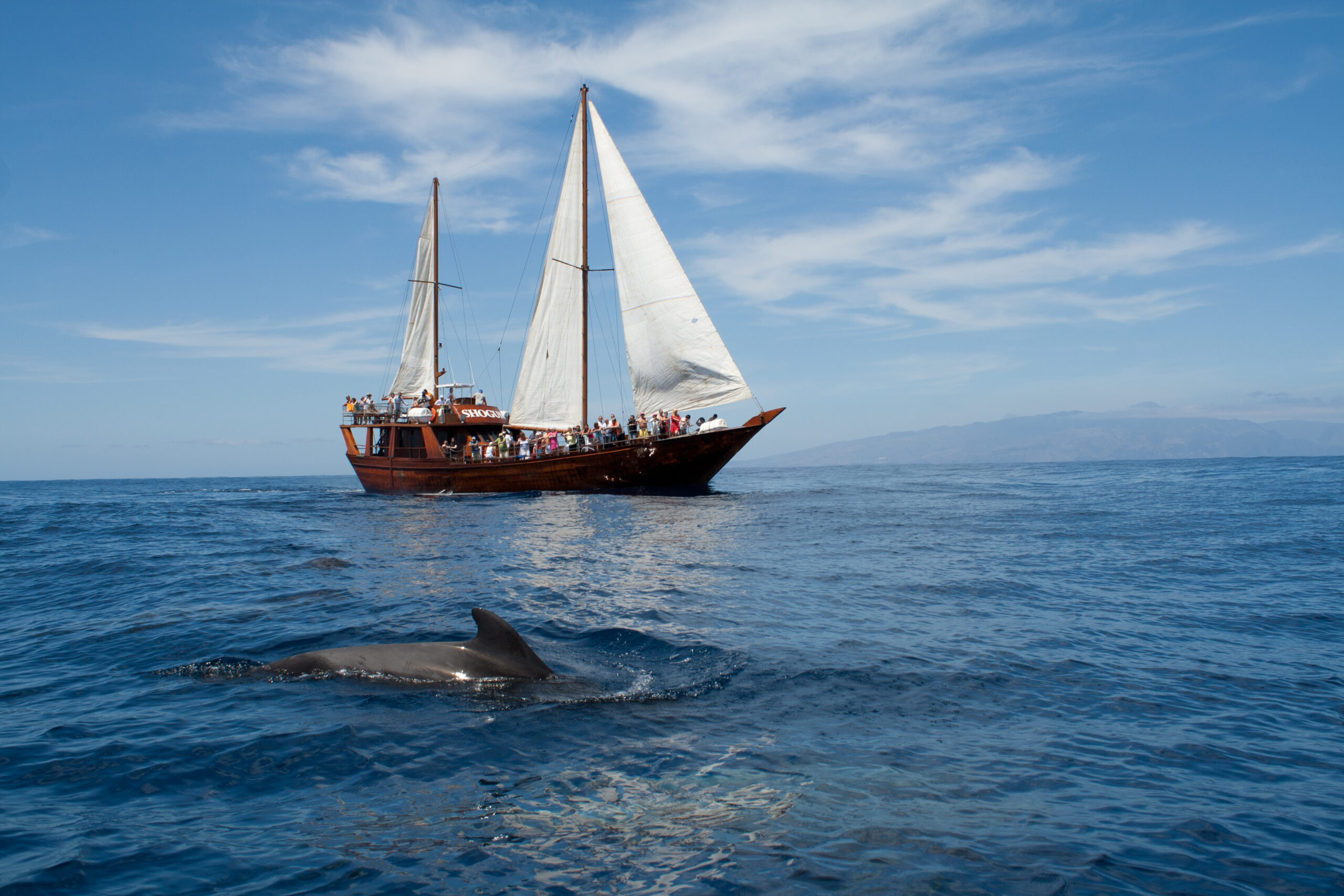Rejs Żaglowcem do Los Gigantes (Puerto de la Cruz)