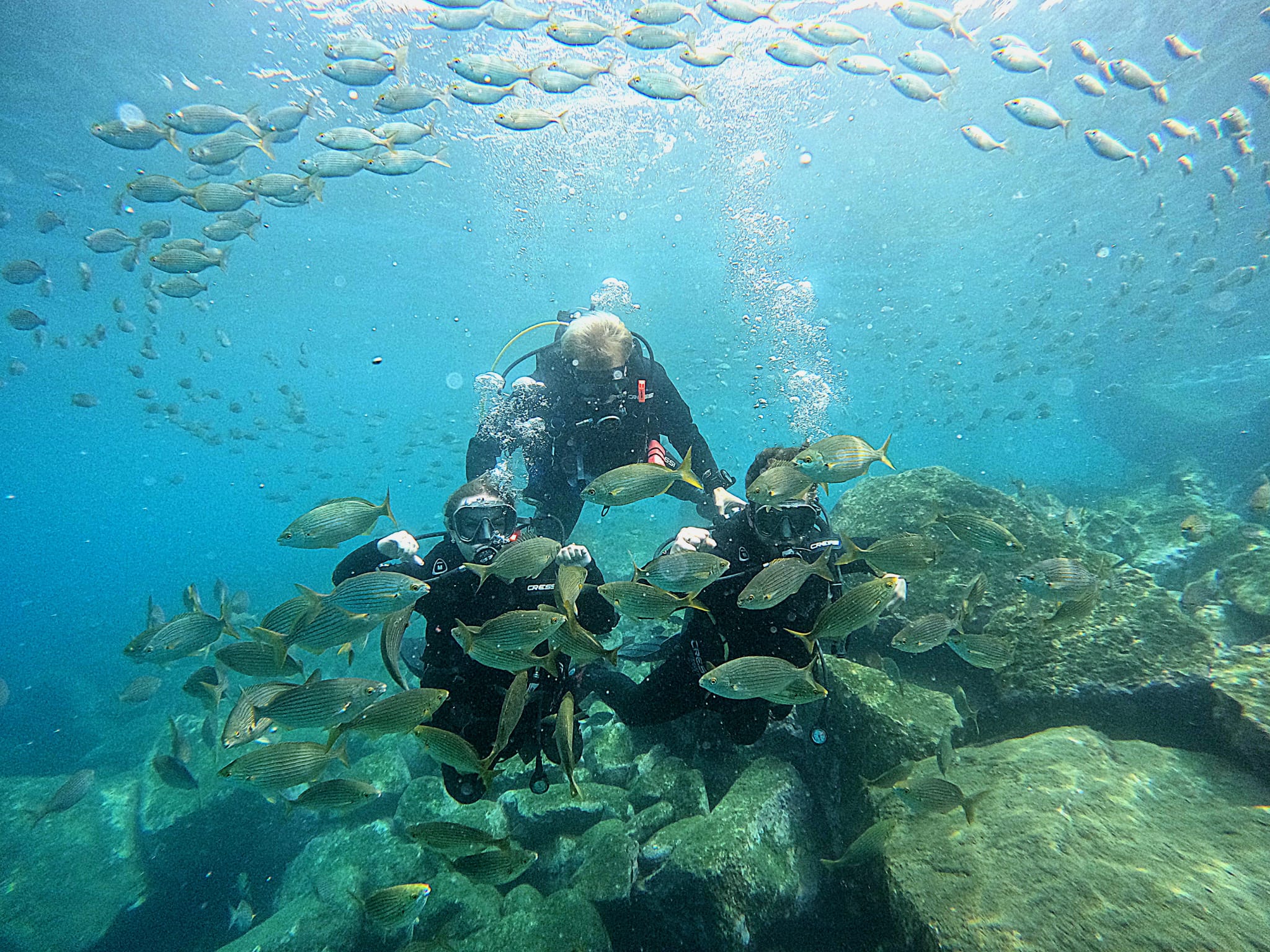 Nurkowanie po polsku – Gran Canaria (PADI Discover Scuba)