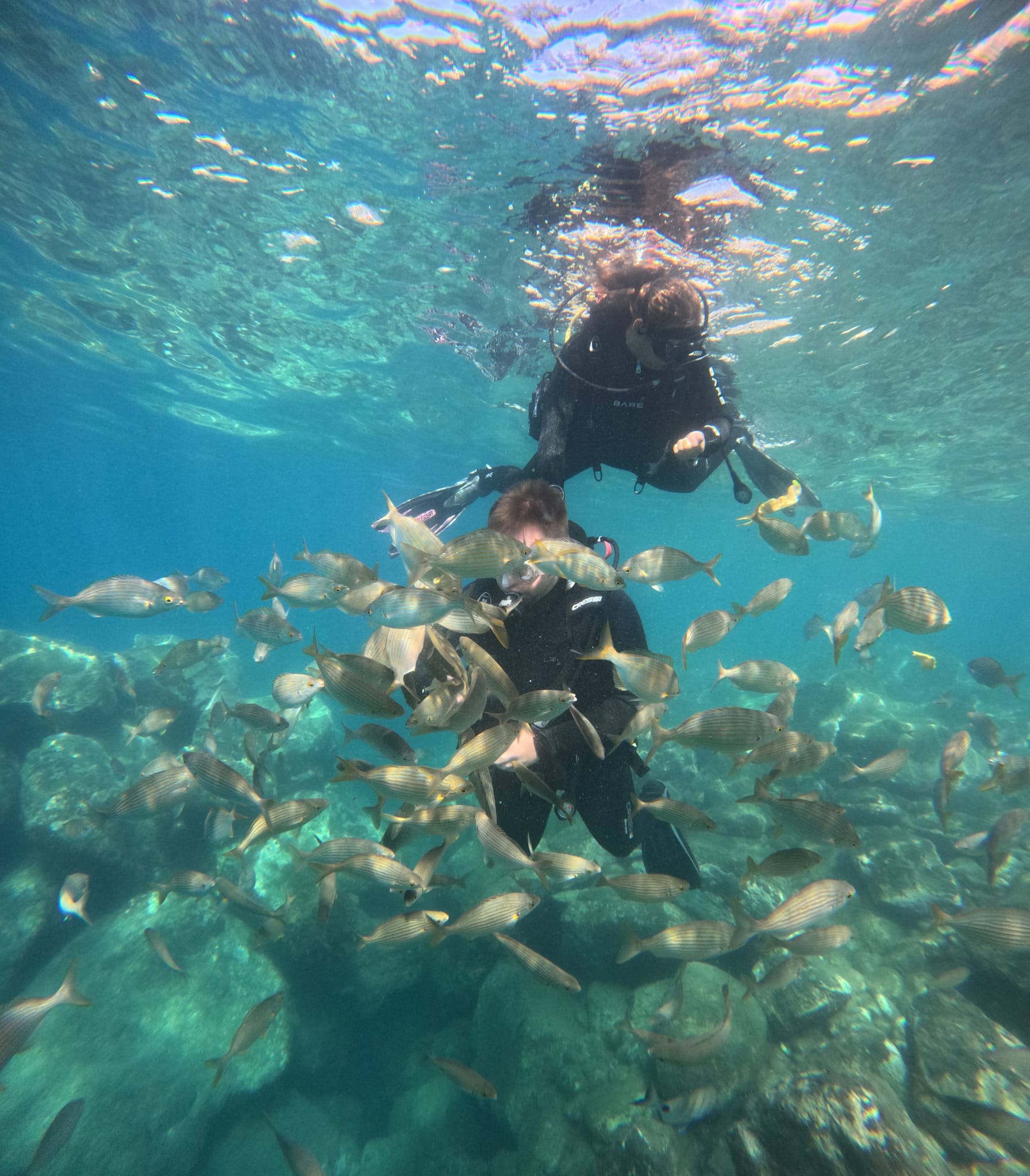 Nurkowanie po polsku – Gran Canaria (PADI Discover Scuba)