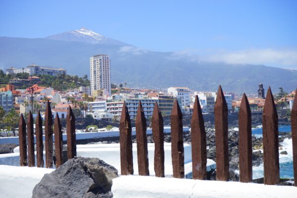 Odkryj Puerto de la Cruz – transfer w obie strony