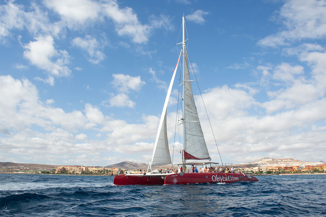 Rejs katamaranem 4h – Caleta de Fuste
