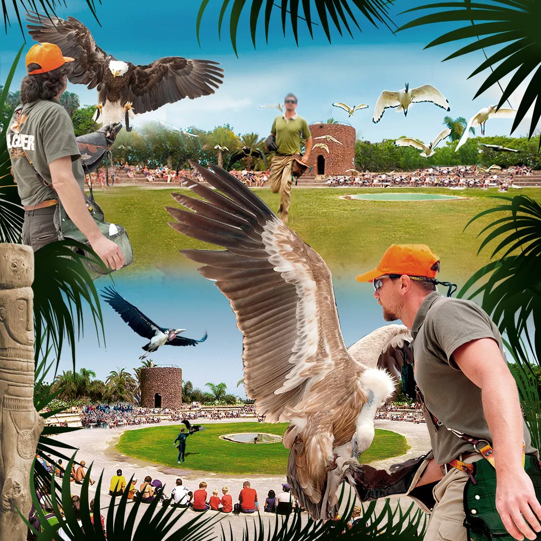 Jungle Park