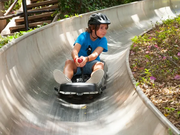 Podwójny Bilet (Aqualand + Jungle Park)