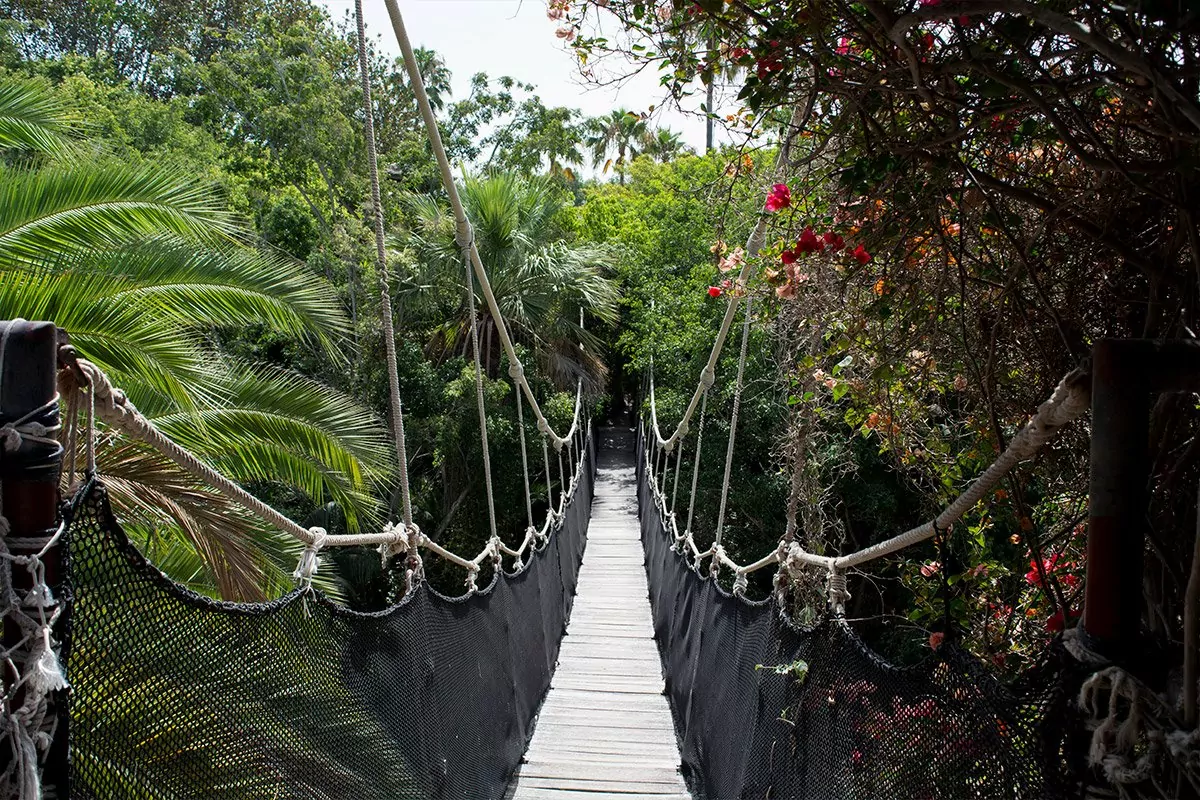 Podwójny Bilet (Aqualand + Jungle Park)