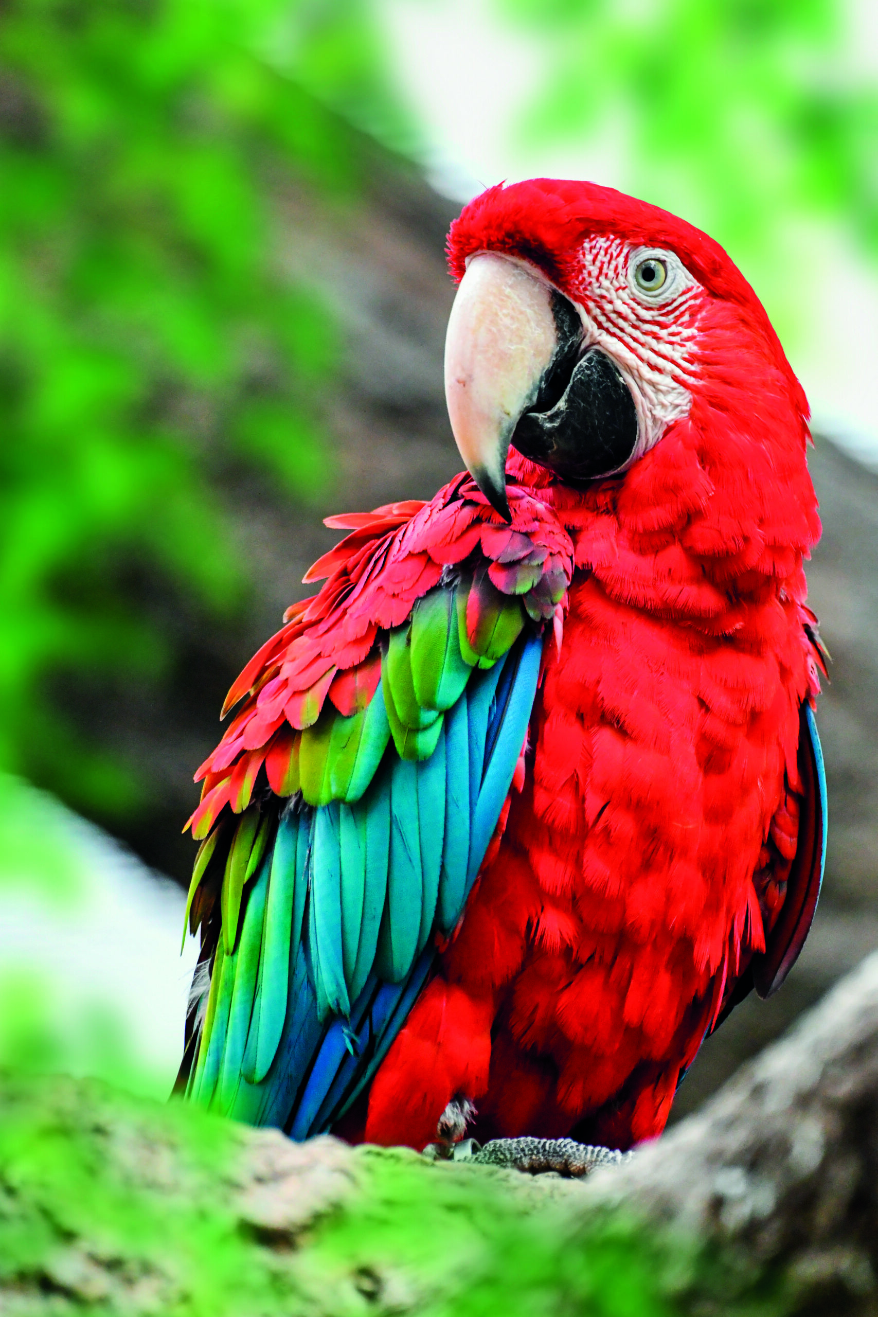 Loro Park
