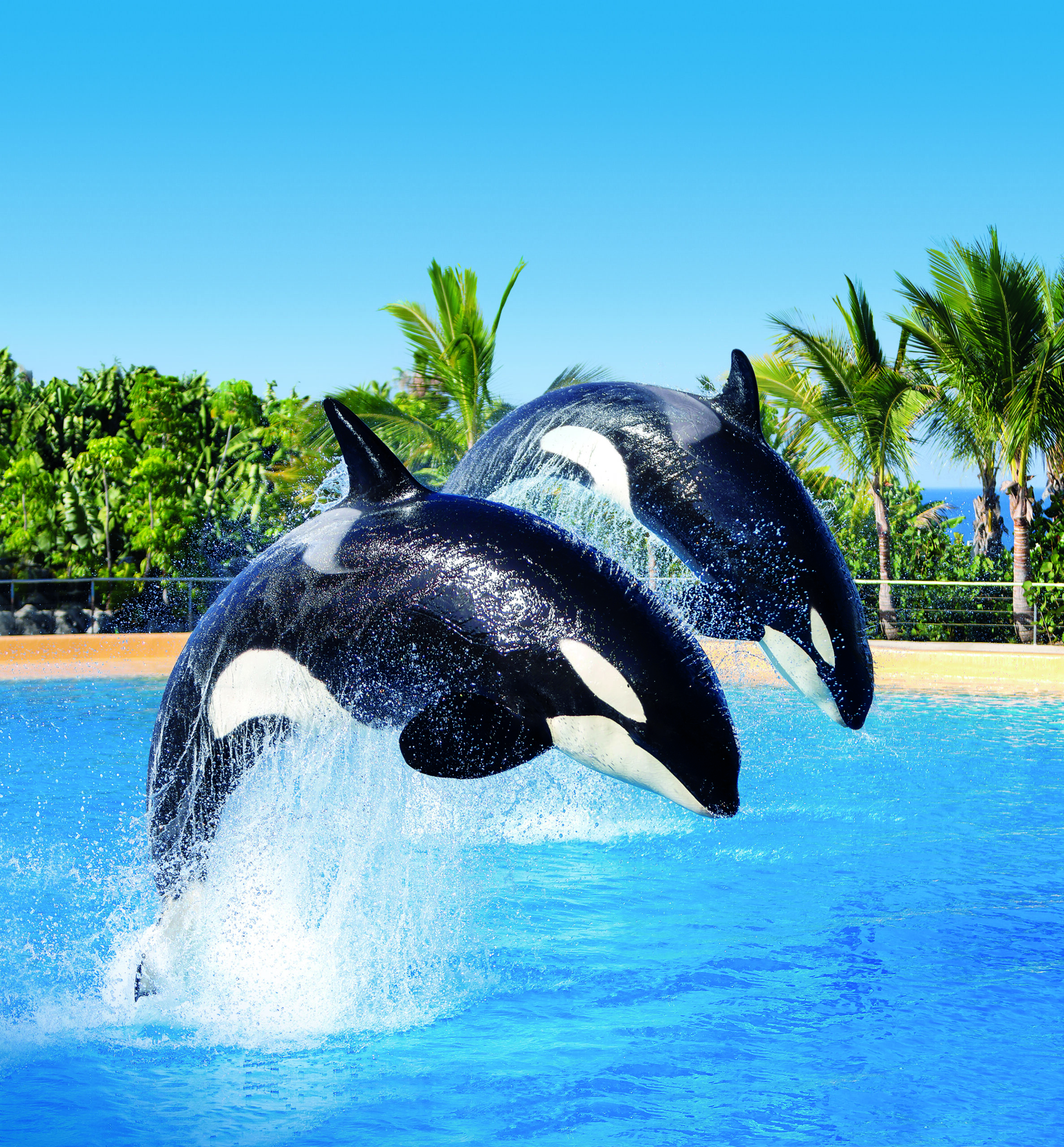 Loro Park
