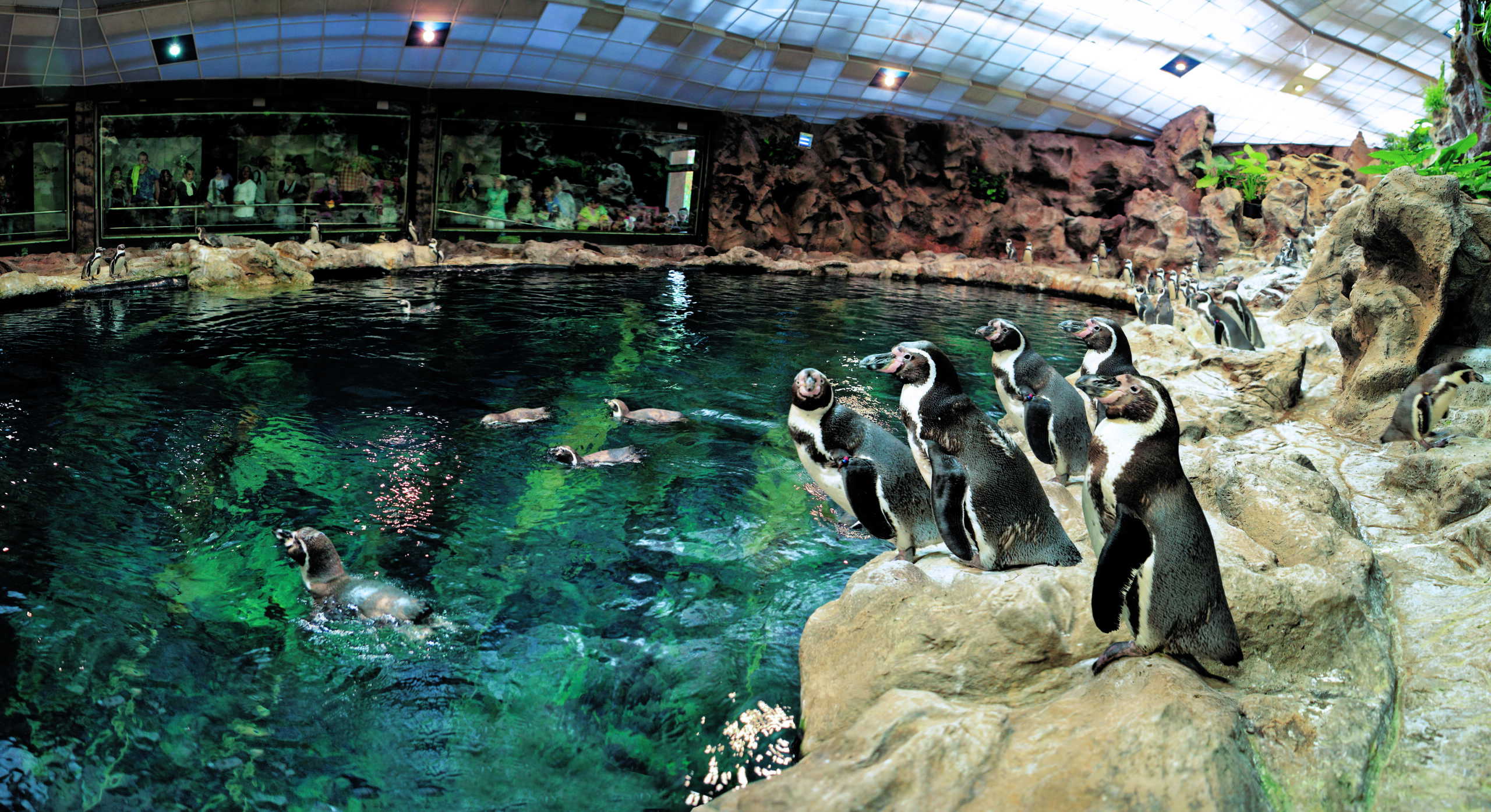 Loro Park