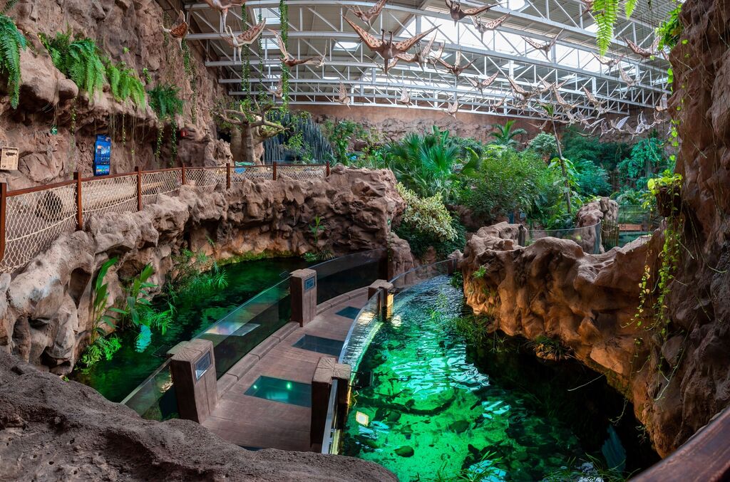 Poema del Mar – bilety do oceanarium na Gran Canarii